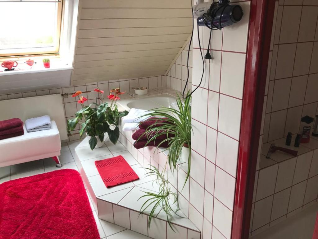 Appartement Krause Oben Steinthaleben